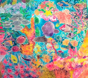 Corail tropical, 1993